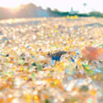 ガラスの砂浜が広がる