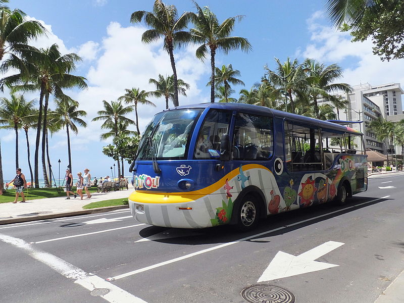 トロリーバスに乗ってハワイ観光！バスの種類と活用方法ついて