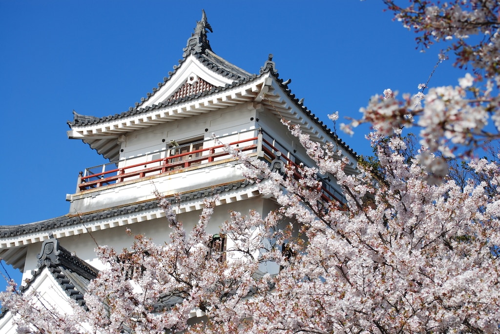 佐賀県の桜名所おすすめ10選！新緑と華やかな桜のお花見スポット