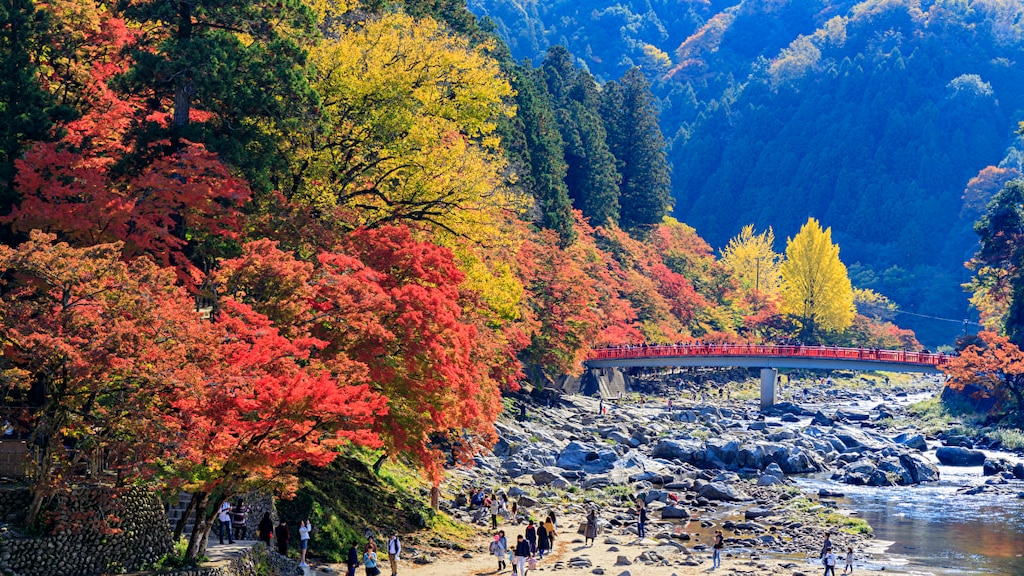 四季折々で美しい姿を見せる香嵐渓の観光情報をお届けします！