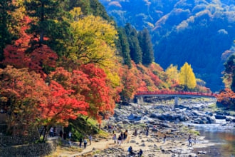 四季折々で美しい姿を見せる香嵐渓の観光情報をお届けします！(画像は香嵐渓の紅葉)