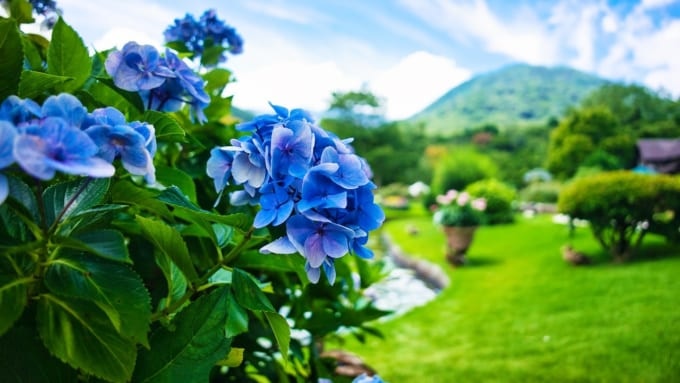 箱根ガラスの森美術館