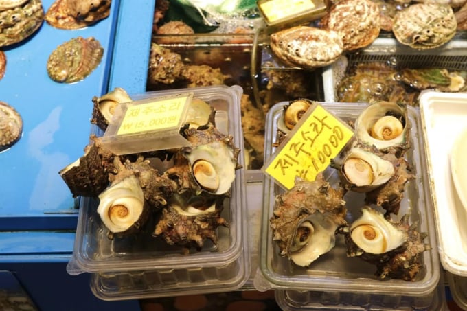 東門市場 済州島