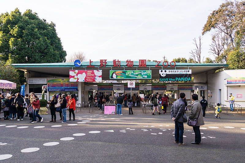 上野といえばパンダ！上野で人気が高いおすすめのお土産4選！