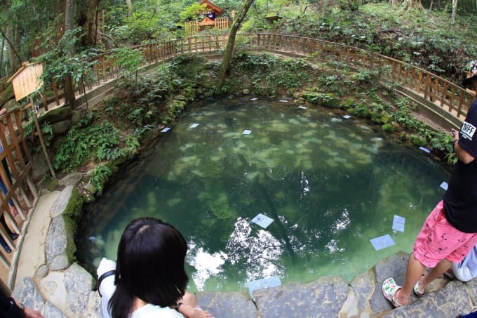 八重垣神社の恋占い