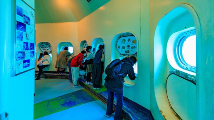 勝浦海中公園　海中展望塔の海が見える場所