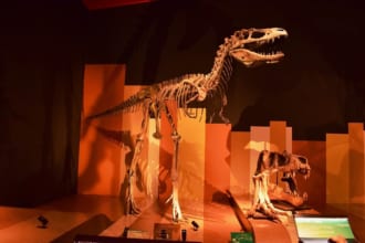 いわき市石炭・化石館