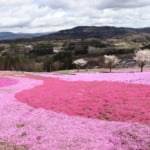 ジュピアランドひらた 観光