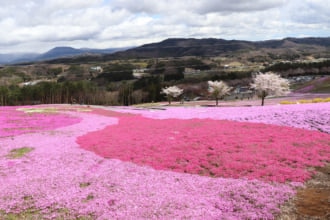 ジュピアランドひらた 観光