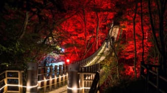 花貫渓谷ライトアップ