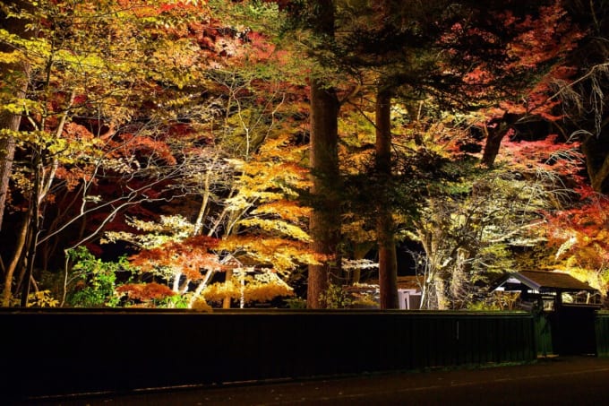 角館武家屋敷　青柳家