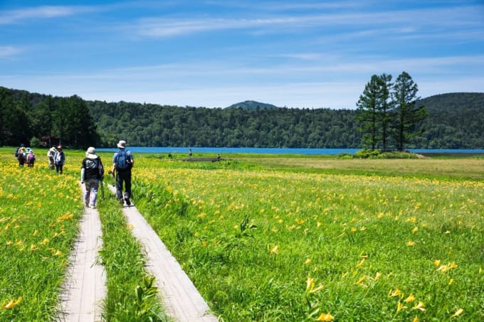 尾瀬　大江湿原
