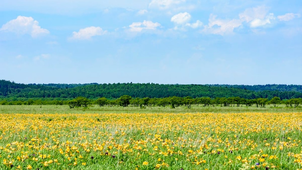 【北海道】厚岸・浜中観光＆グルメ|花畑とルパン三世の故郷に心奪われよう
