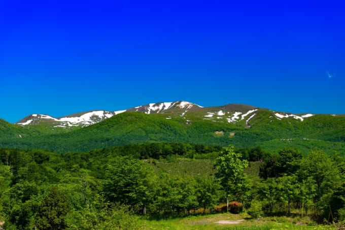 栗駒山（宮城×春）