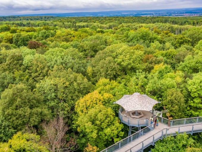 世界遺産「カルパティア山脈とヨーロッパ各地の古代及び原生ブナ林」