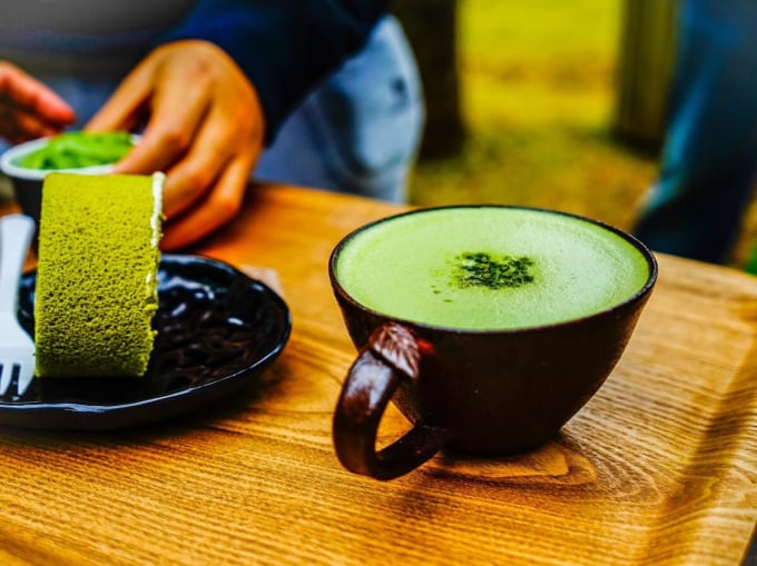 済州オスロク・ティーミュージアム（Jeju OSULLOC Tea Museum）