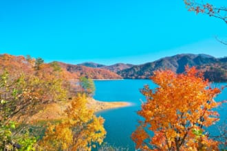 紅葉美しい九頭竜湖