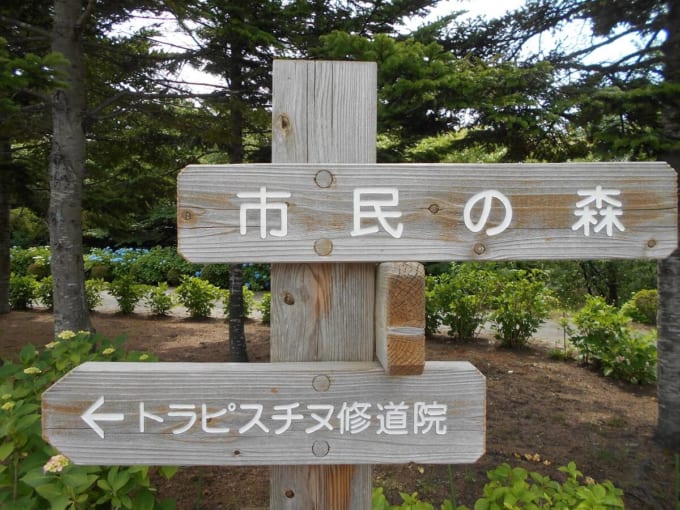 函館市 市民の森