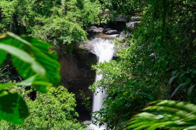 カオヤイ国立公園 楽しみ方