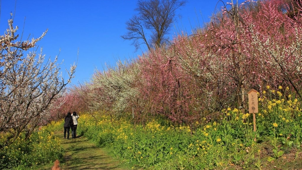 愛媛県砥部町の魅力的な観光スポット4選！砥部焼で有名な陶器の町