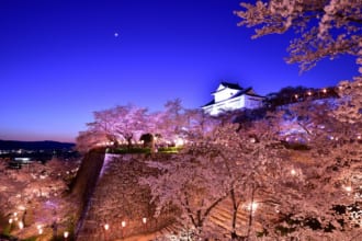 鶴山公園（津山城）