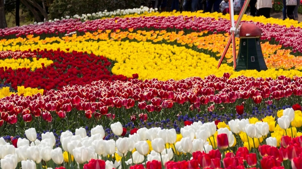 海津市のおすすめ観光スポット7選。輪中が育んだ文化と歴史を楽しもう！