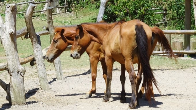 あそうベイパーク