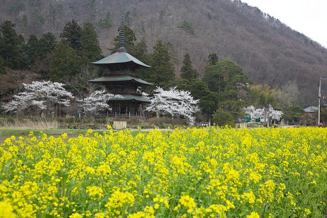 山形県高畠町のオススメ観光スポット5選 まほろばの里に出掛けよう Skyticket 観光ガイド