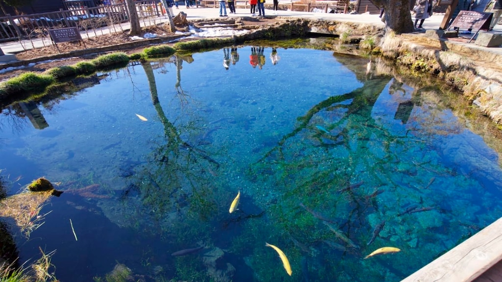 山梨県忍野村のおすすめ観光スポット5選！たっぷりの自然に癒されよう