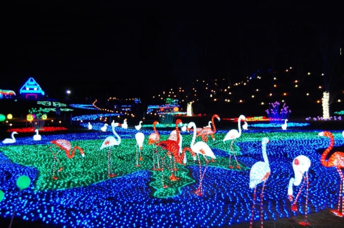 東京ドイツ村　イルミネーション