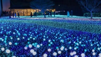 しあわせ回廊 なら瑠璃絵