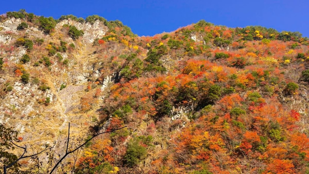 「三好市 阿波池田」の押さえておきたい！超オススメ観光スポット5選