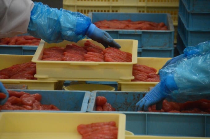 かねふく めんたいパーク