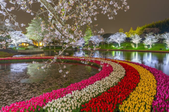 はままつフラワーパーク