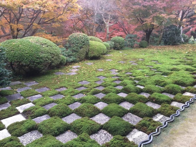 東福寺 北庭の小市松