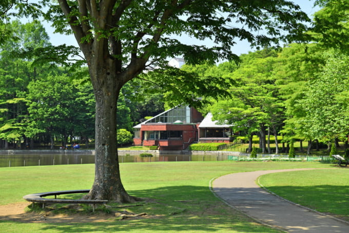 洞峰公園（つくば市）