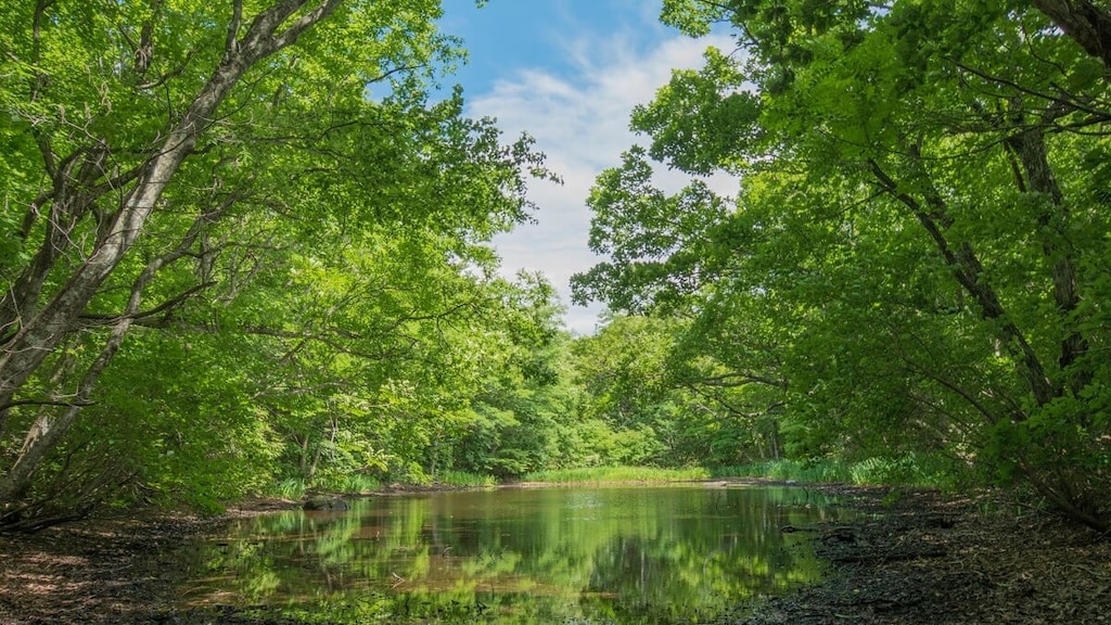 福島県川内村の観光スポット6選！人気の天山文庫や温泉など