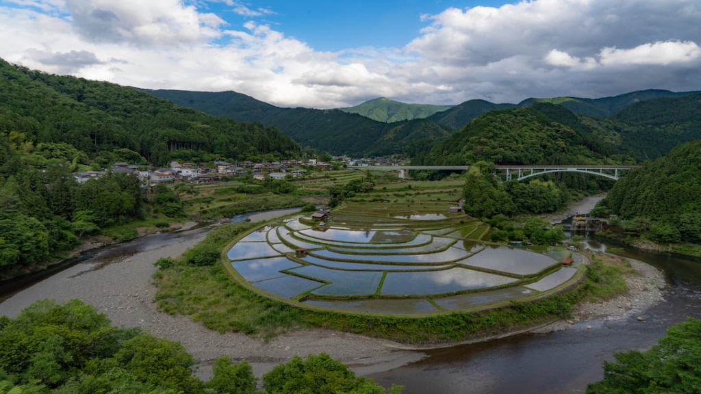 和歌山県有田川町で、ここでしかできない自然や歴史を楽しめる5スポット
