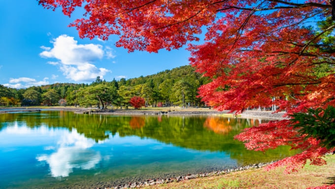 平泉 世界遺産 外国人