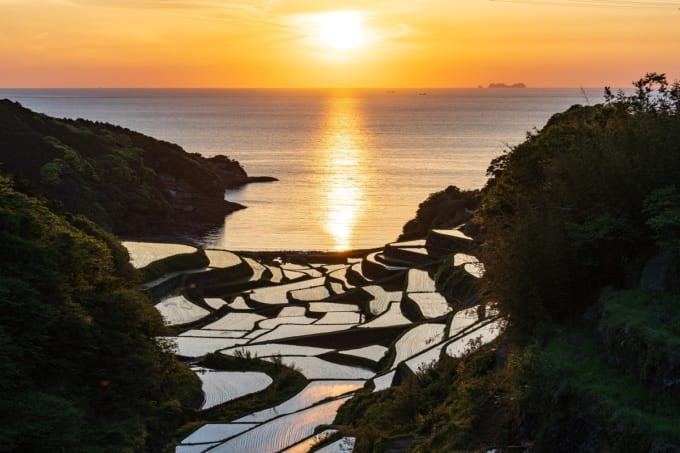浜野浦の棚田の夕日