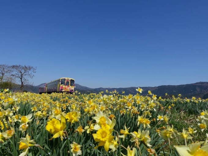フラワー長井線
