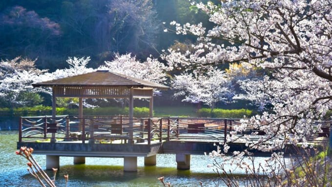 出雲市　愛宕山公園