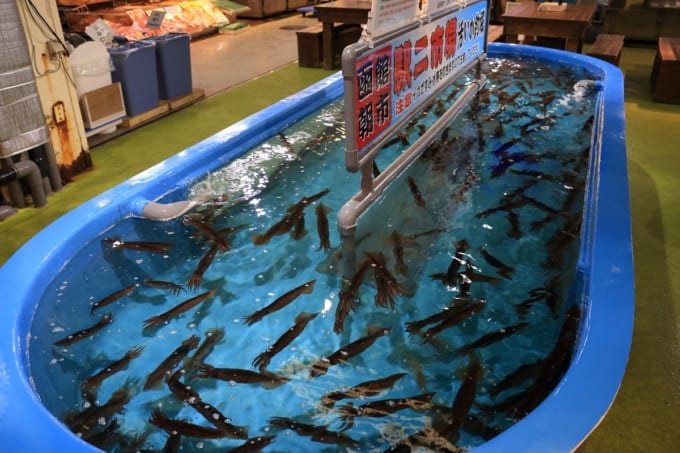 函館朝市 駅二市場　イカ釣り