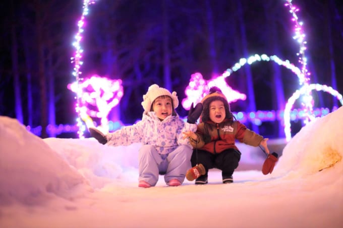 まほら岩手「氷の世界」イルミネーション