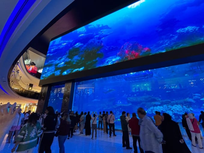 ドバイ・モールの水族館