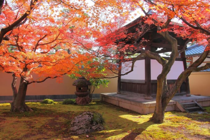 大徳寺の塔頭「黄梅院」