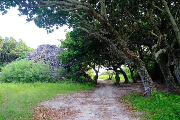 プズマリ（八重山諸島・黒島）
