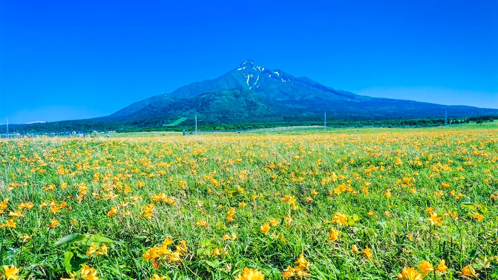 利尻島と礼文島♪日本最北限にある花の浮島の観光マストスポットをご紹介！
