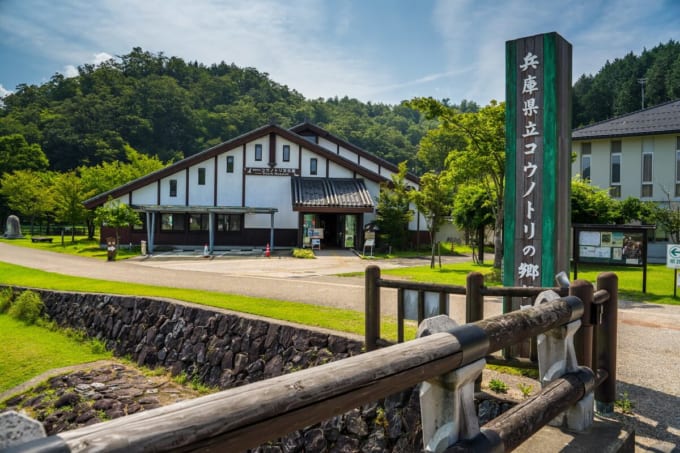 コウノトリの郷公園（兵庫県豊岡市）
