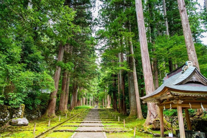平泉寺白山神社